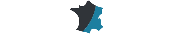 logo sav français