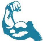 muscle et récupération msuculaire